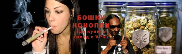 СК Вязьма