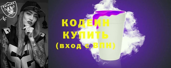 СК Вязьма