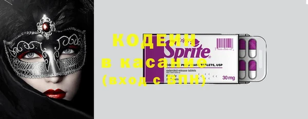 СК Вязьма