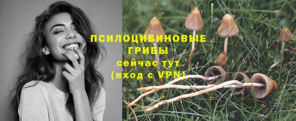 mdpv Горнозаводск