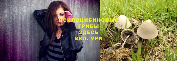 дмт Вязники